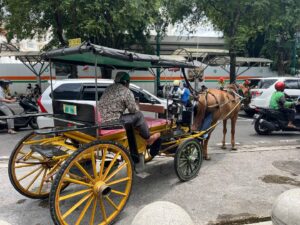 Ketua Koperasi Andong DIY Jelaskan Video Viral Kuda Gandeng Lepas Kendali di Malioboro