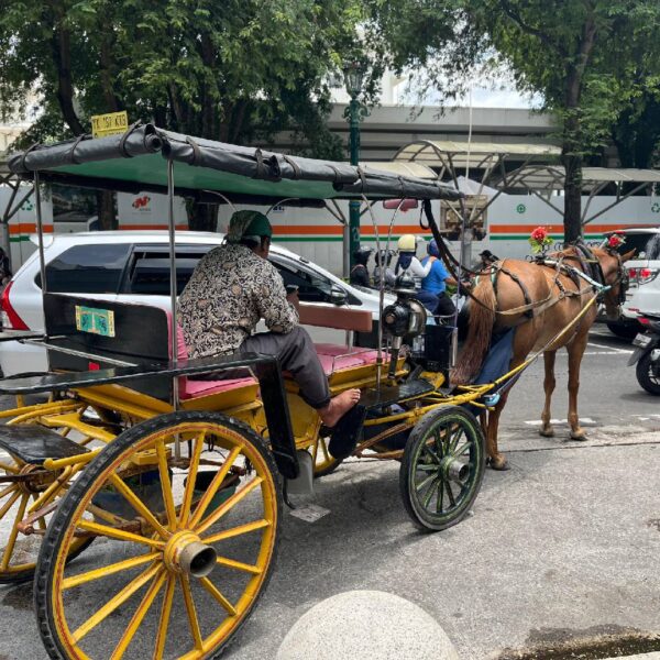 Ketua Koperasi Andong DIY Jelaskan Video Viral Kuda Gandeng Lepas Kendali di Malioboro