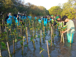 Mahasiswa Belajar Fikih Hijau lewat Aksi Tanam 1.500 Mangrove di Bantul