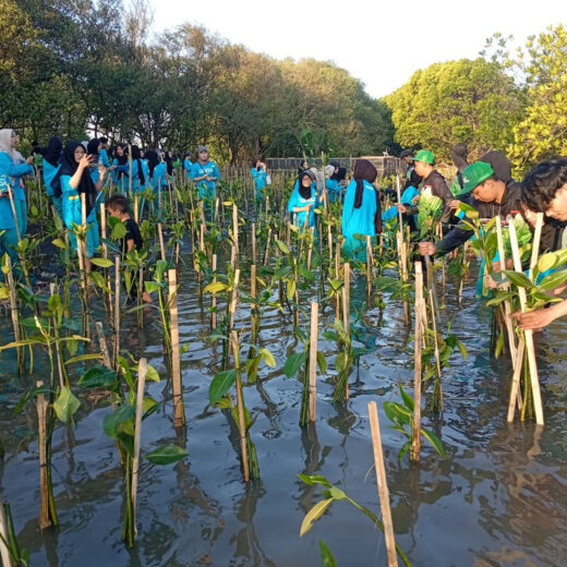 Mahasiswa Belajar Fikih Hijau lewat Aksi Tanam 1.500 Mangrove di Bantul