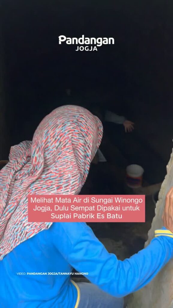Melihat Mata Air di Sungai Winongo Jogja,Dulu Sempat Dipakai untuk Suplai Pabrik Es Batu